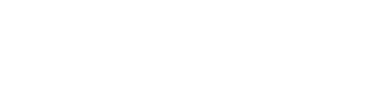 Netzwerk-Neuseenland-Logo-w